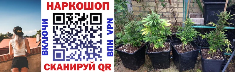 Купить наркотики Берёзовка Кокаин  A PVP  Меф мяу мяу 